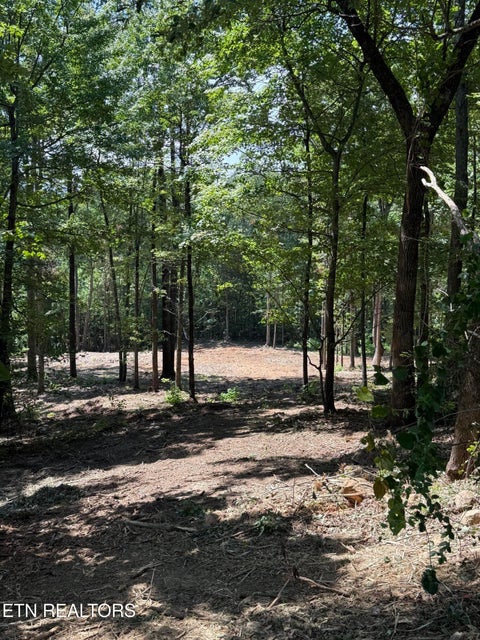 Photo of 150 Mountaineer Tr, Sevierville, TN 37862 (MLS # 1353858)