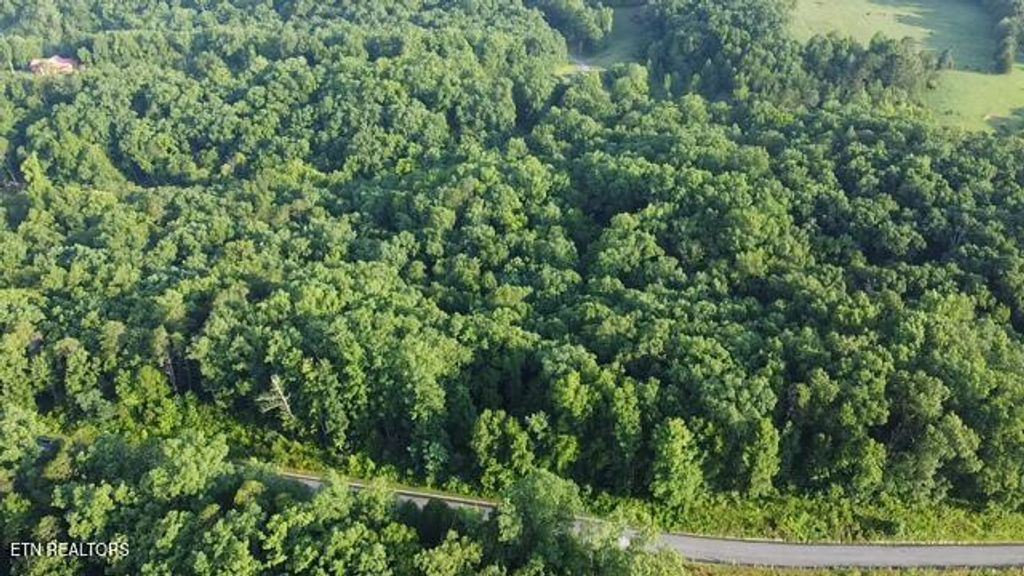 Photo of 4 Woodland Creek Drive, Dandridge, TN 37725 (MLS # 1306718)