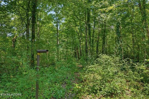 Tiny photo for 000 Thacker Lane, Etowah, TN 37331 (MLS # 1349864)