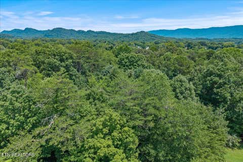 Tiny photo for 000 Thacker Lane, Etowah, TN 37331 (MLS # 1349864)