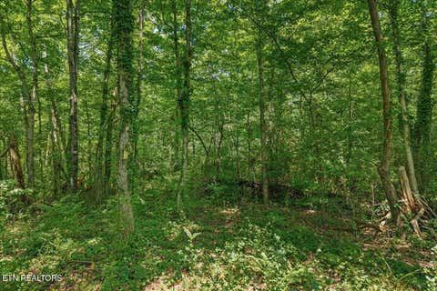 Tiny photo for 000 Thacker Lane, Etowah, TN 37331 (MLS # 1349864)