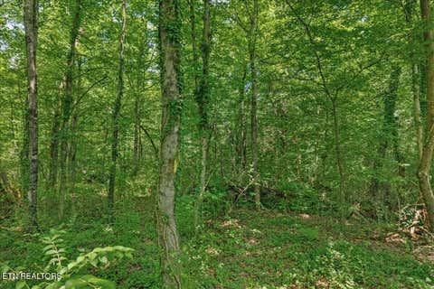 Tiny photo for 000 Thacker Lane, Etowah, TN 37331 (MLS # 1349864)