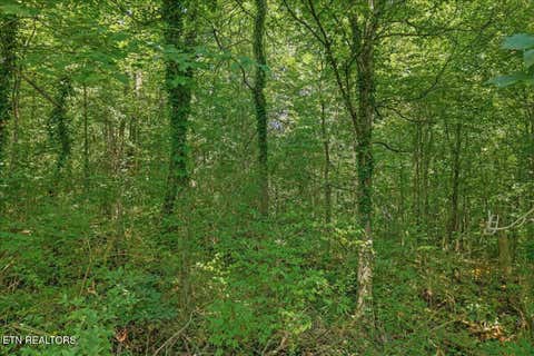 Tiny photo for 000 Thacker Lane, Etowah, TN 37331 (MLS # 1349864)