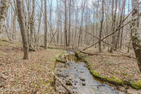 1259 Steve Brown Rd Bean Station TN 37708