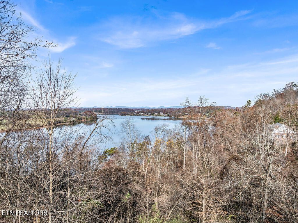 Photo of 4125 Gravelly Hills Rd, Louisville, TN 37777 (MLS # 1323071)