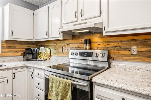 Tiny photo for 226 McKinney Rd, LaFollette, TN 37766 (MLS # 1339819)