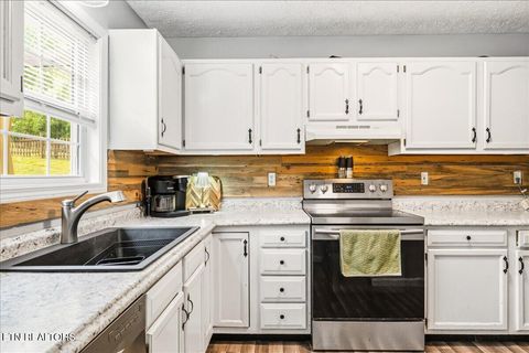 Tiny photo for 226 McKinney Rd, LaFollette, TN 37766 (MLS # 1339819)