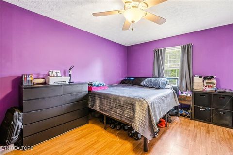 Tiny photo for 226 McKinney Rd, LaFollette, TN 37766 (MLS # 1339819)