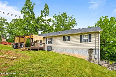 Tiny photo for 226 McKinney Rd, LaFollette, TN 37766 (MLS # 1339819)