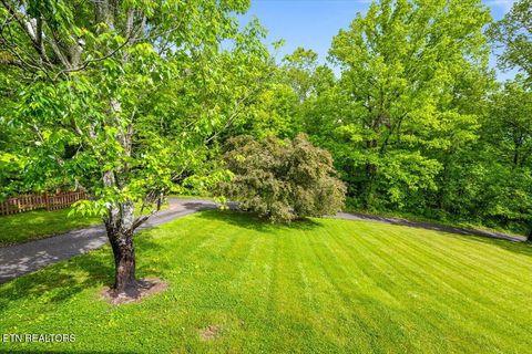 Tiny photo for 226 McKinney Rd, LaFollette, TN 37766 (MLS # 1339819)
