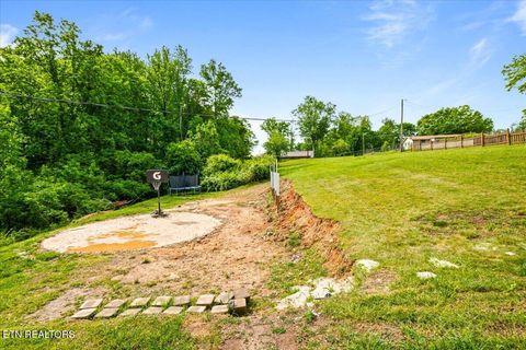 Tiny photo for 226 McKinney Rd, LaFollette, TN 37766 (MLS # 1339819)