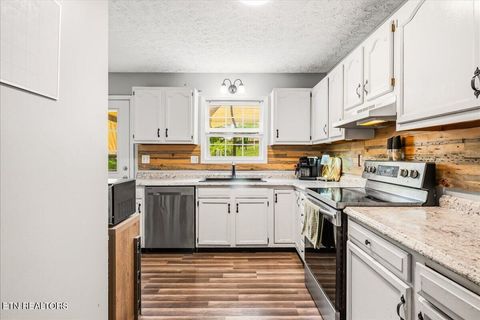 Tiny photo for 226 McKinney Rd, LaFollette, TN 37766 (MLS # 1339819)
