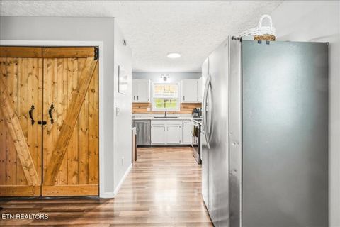 Tiny photo for 226 McKinney Rd, LaFollette, TN 37766 (MLS # 1339819)