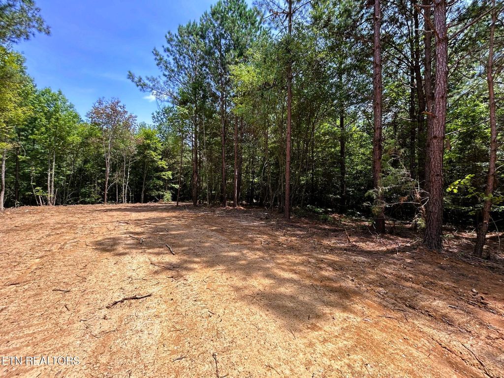 Photo of 2 Highway 304, Ten Mile, TN 37880 (MLS # 1308313)