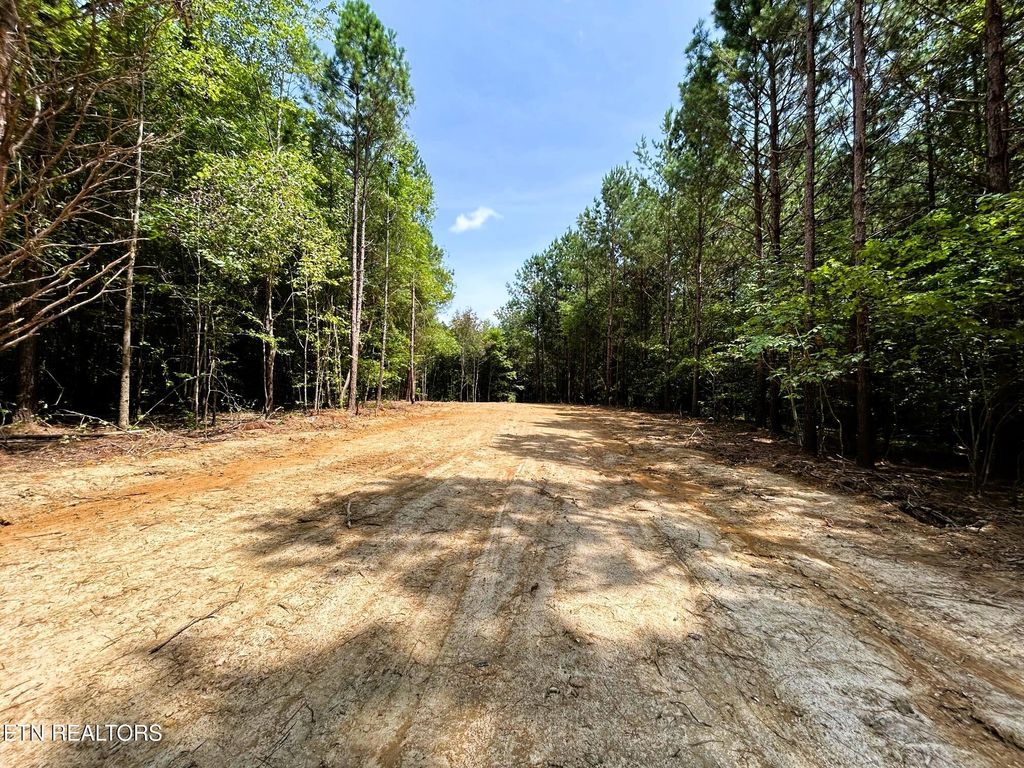 Photo of 2 Highway 304, Ten Mile, TN 37880 (MLS # 1308313)
