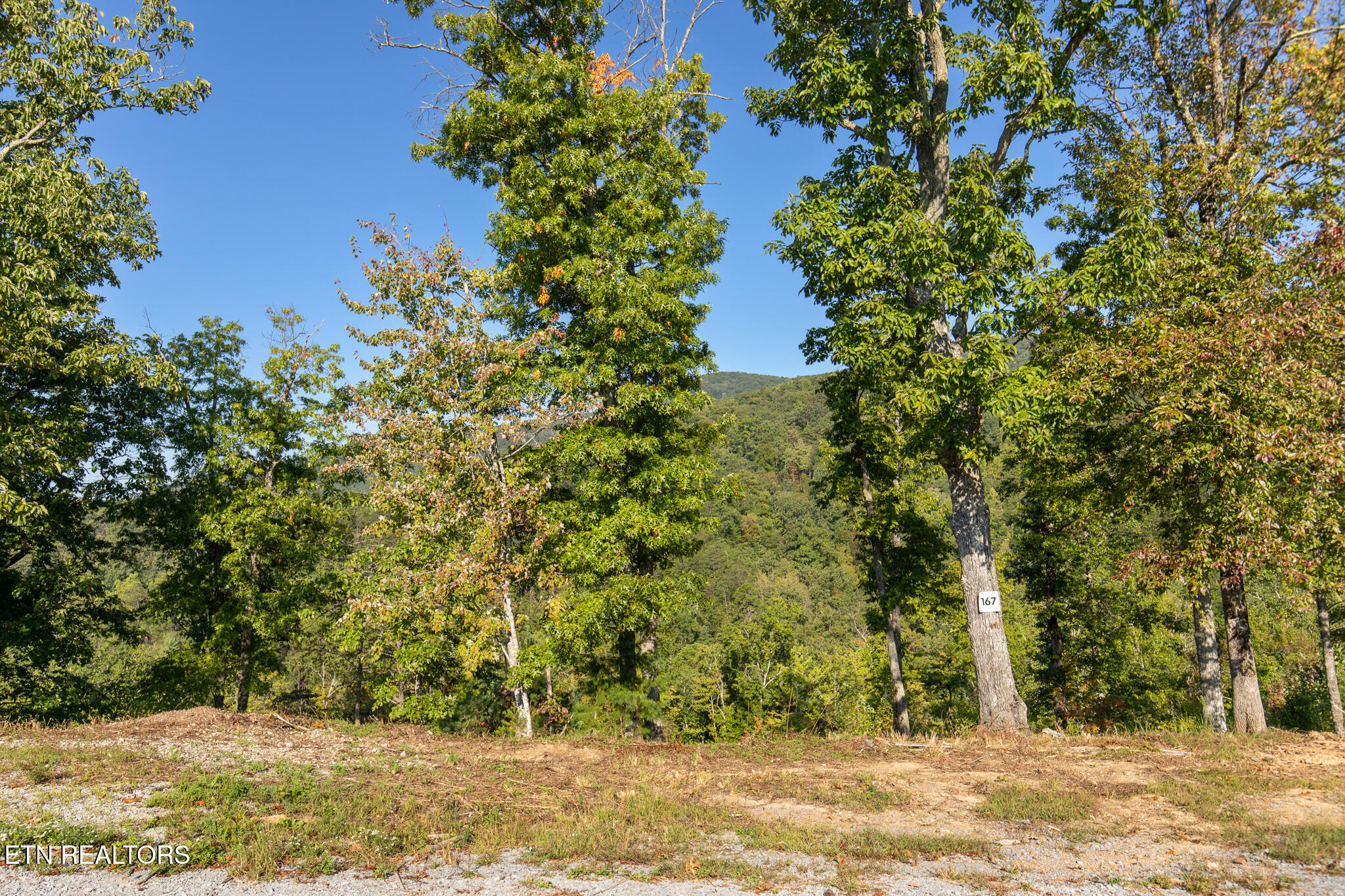 Lot 167 Smoky Bluff Tr