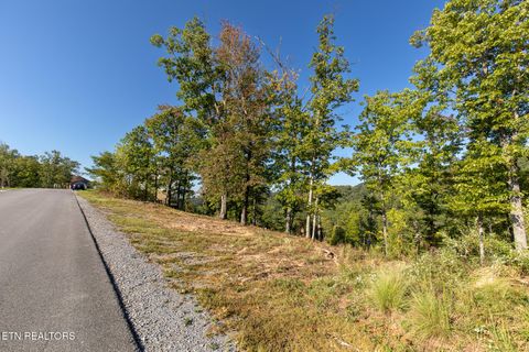 Lot 167 Smoky Bluff Tr Sevierville TN 37862
