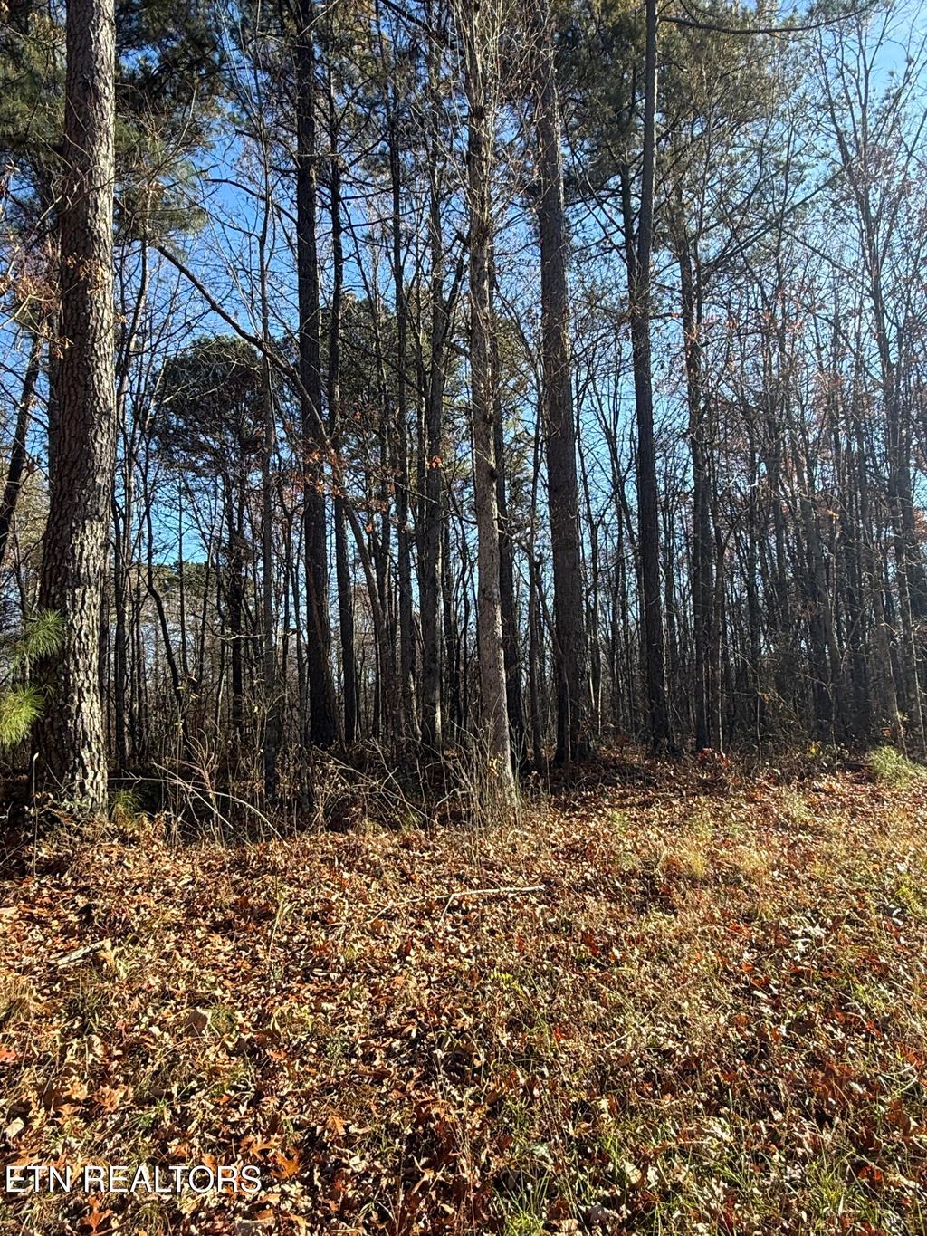 Photo of 9 Hwy 70 N, Monterey, TN 38574 (MLS # 1322212)