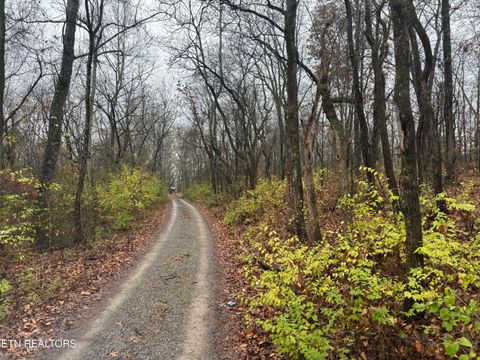 Tiny photo for 174 Veterans Rd, Sweetwater, TN 37874 (MLS # 1323735)