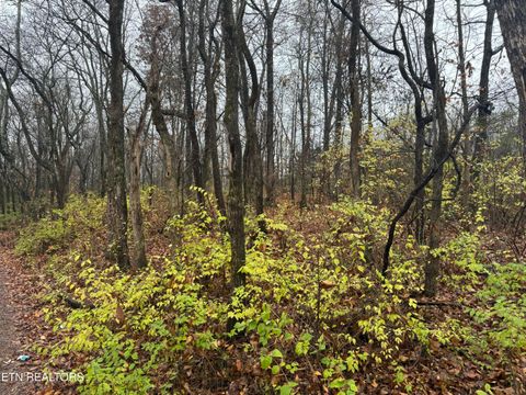 Tiny photo for 174 Veterans Rd, Sweetwater, TN 37874 (MLS # 1323735)