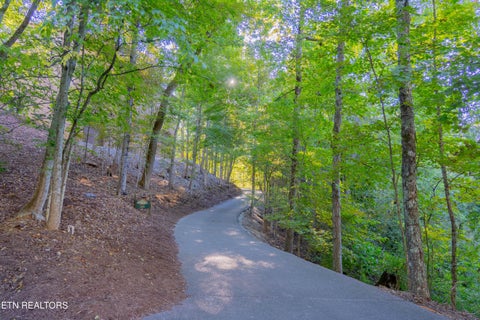 Tiny photo for 306310 Teague Lane, Sevierville, TN 37862 (MLS # 1358361)