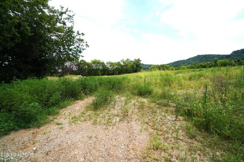 Tiny photo for 1610 Rocky Valley Rd, New Market, TN 37820 (MLS # 1349287)