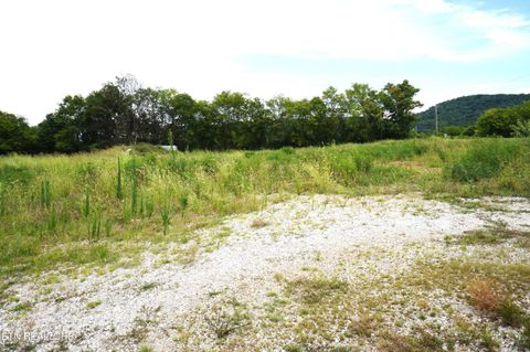 Tiny photo for 1610 Rocky Valley Rd, New Market, TN 37820 (MLS # 1349287)