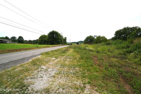 Tiny photo for 1610 Rocky Valley Rd, New Market, TN 37820 (MLS # 1349287)