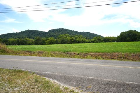 Tiny photo for 1610 Rocky Valley Rd, New Market, TN 37820 (MLS # 1349287)