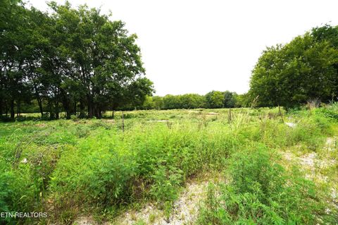 Tiny photo for 1610 Rocky Valley Rd, New Market, TN 37820 (MLS # 1349287)