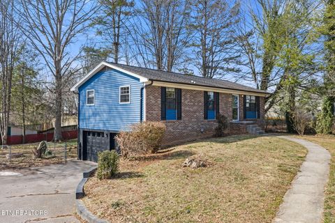 Photo of 7129 Hurst Lane, Knoxville, TN 37918 (MLS # 1329451)