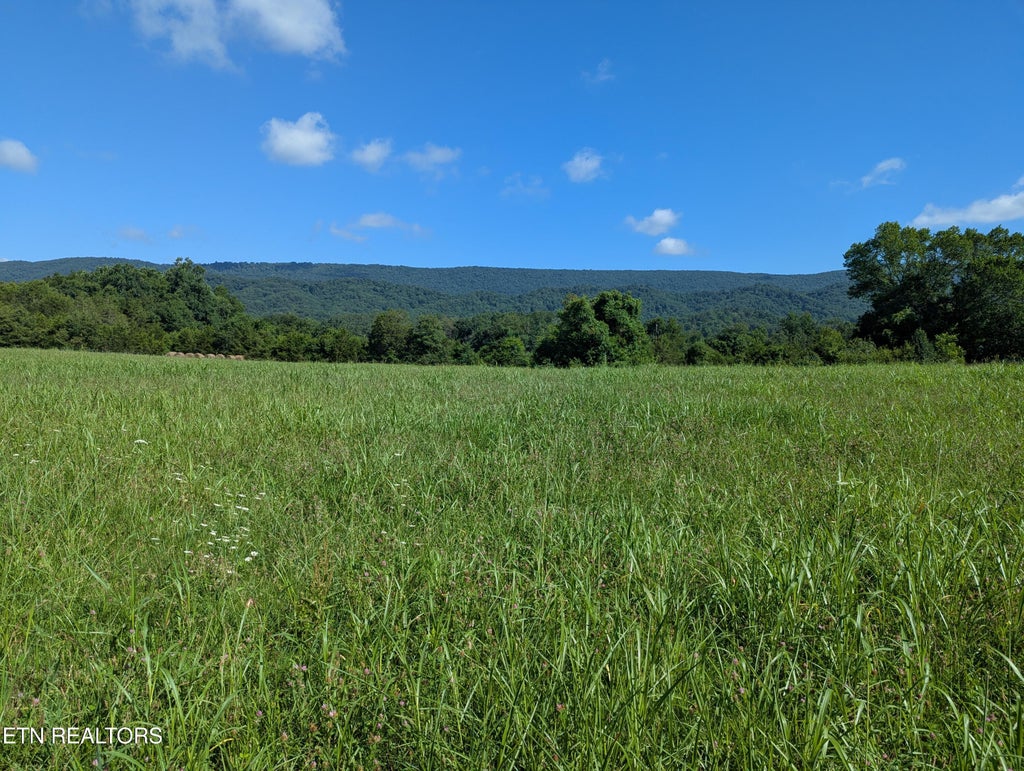 Photo of 1 Doc Hill Road RD #049 010.**, Rutledge, TN 37861 (MLS # 1348257)