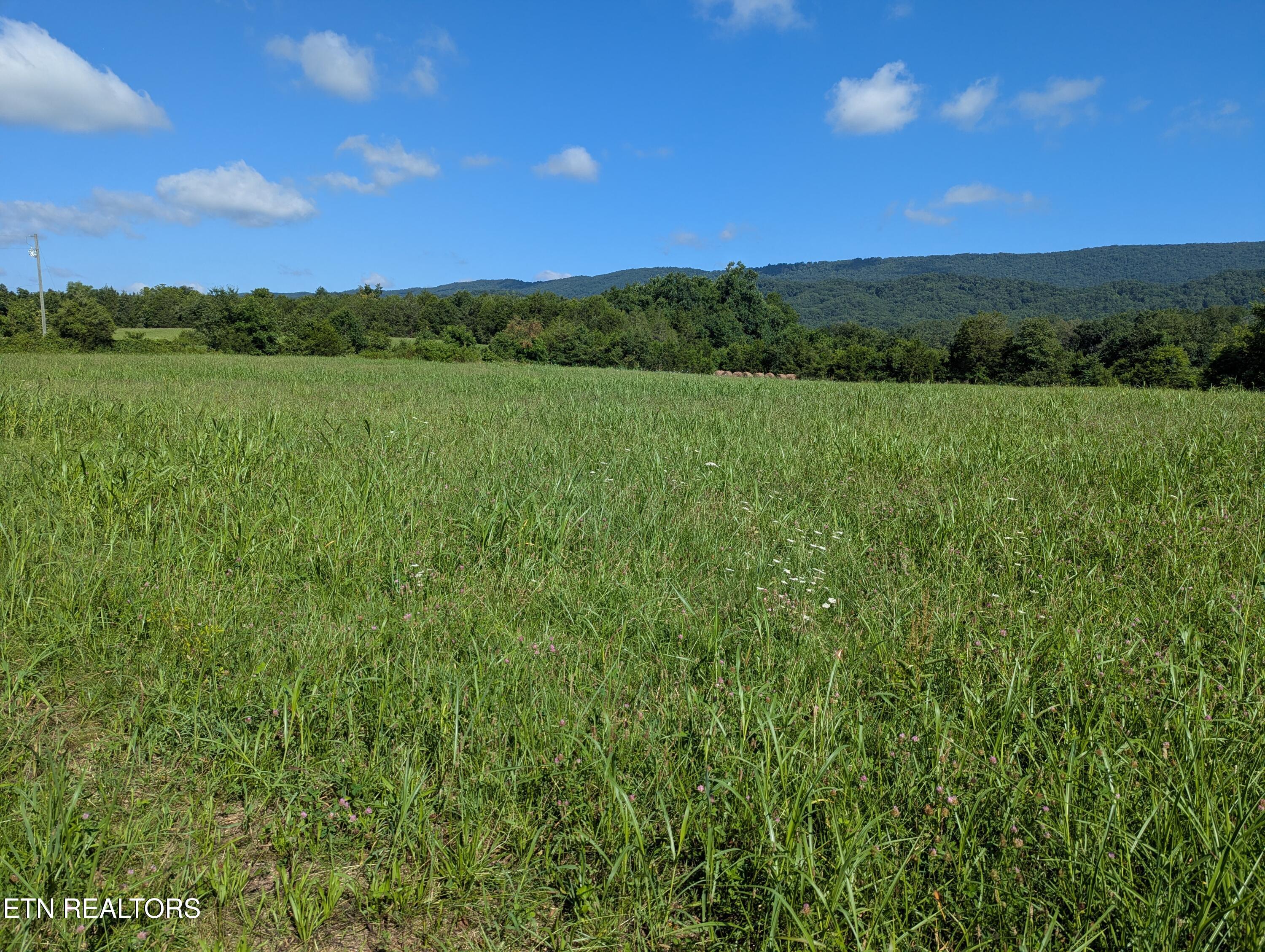 Photo 1 of 3 — 1 Doc Hill Road 049 010.**, Rutledge, TN 37861