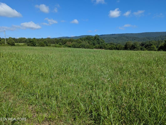 106 DOC HILL RD, RUTLEDGE, TN 37861 - Image e5d99c1fed816afcd37e1338d413a398/3635559013