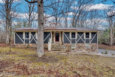 Photo of 148 Camelia Drive, Crossville, TN 38555 (MLS # 1330289)