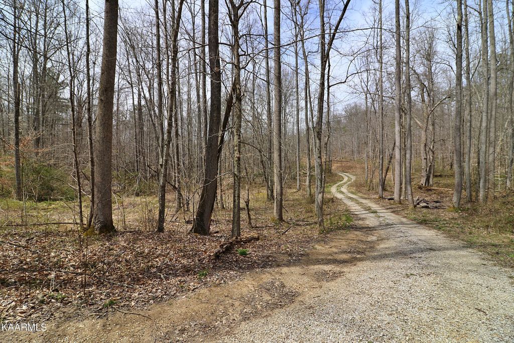 Photo of 316 Brimstone Rd, Huntsville, TN 37756 (MLS # 1186671)