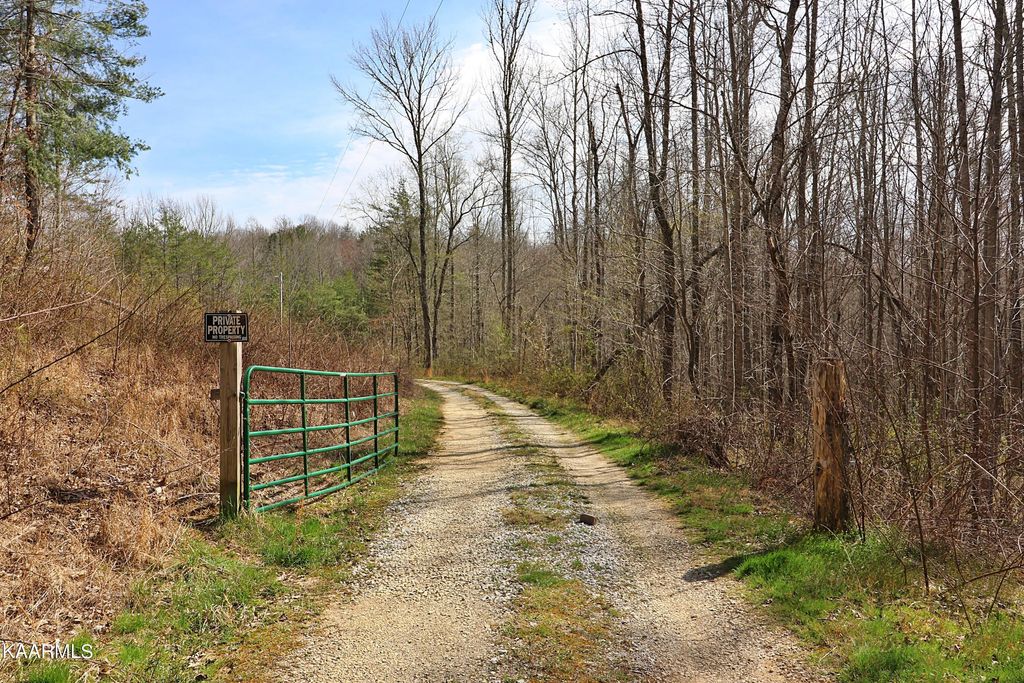 Photo of 316 Brimstone Rd, Huntsville, TN 37756 (MLS # 1186671)