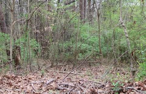 7313 Marble Springs Rd Knoxville TN 37920