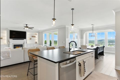 Tiny photo for 11608 Boston Ivy Lane, Knoxville, TN 37932 (MLS # 1326478)