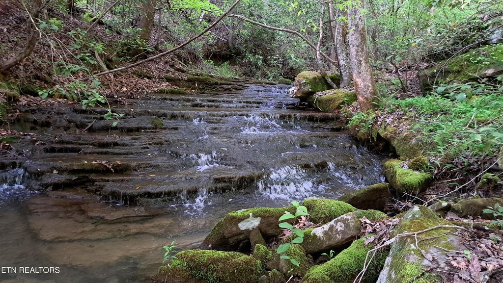 Photo of Airport Rd - Lot 17 (PCA), Rockwood, TN 37854 (MLS # 1306200)