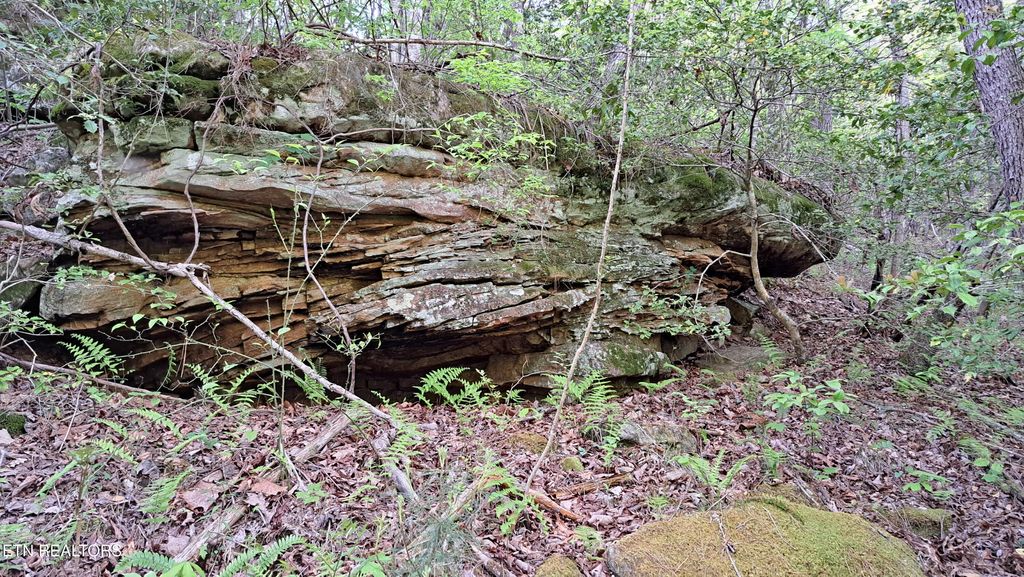 Photo of Airport Rd - Lot 17 (PCA), Rockwood, TN 37854 (MLS # 1306200)