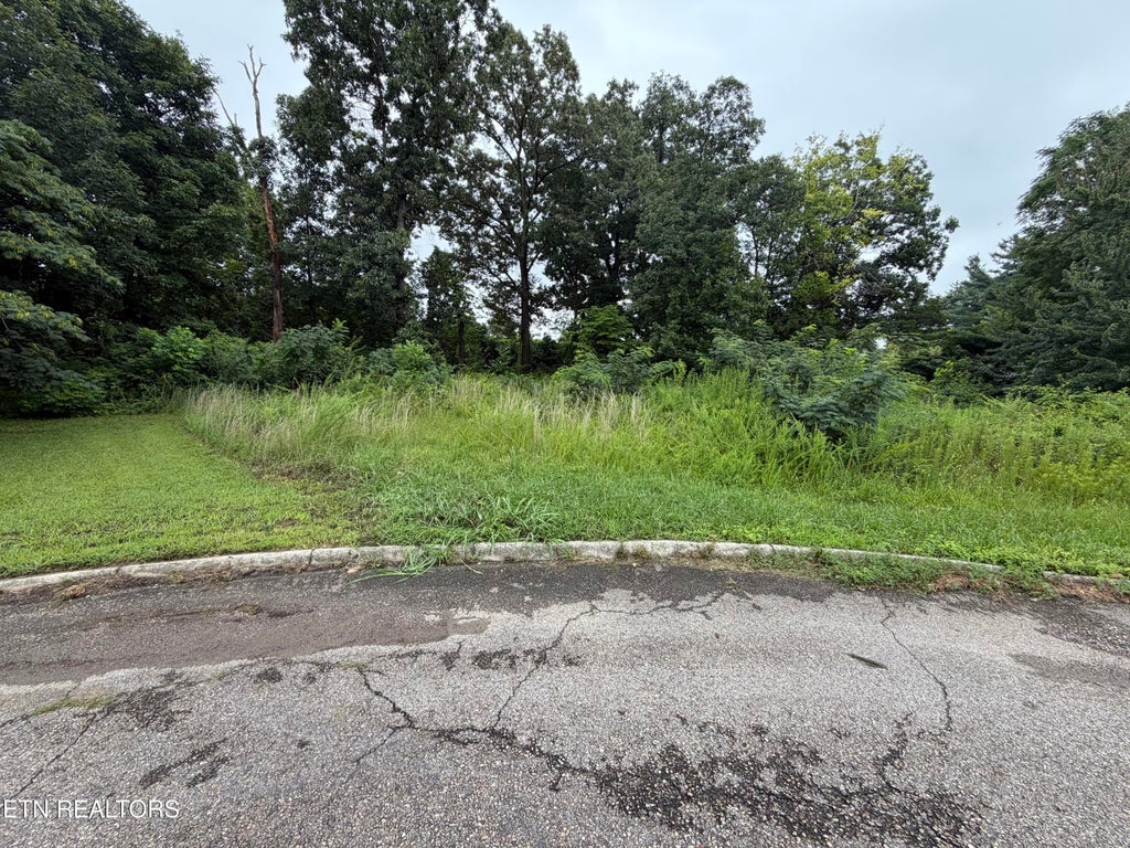Photo of 4704 Tomache Drive, Knoxville, TN 37909 (MLS # 1349315)