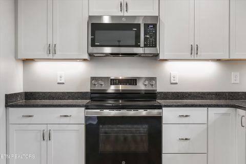 Tiny photo for 7553 RIDGE HOLLOW Way, Knoxville, TN 37924 (MLS # 1332143)