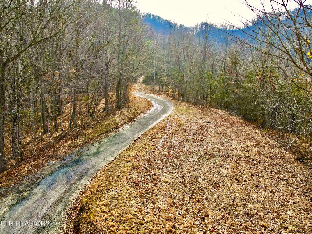 Photo of TBD Rufus Coffey Lane, Thorn Hill, TN 37881 (MLS # 1338831)