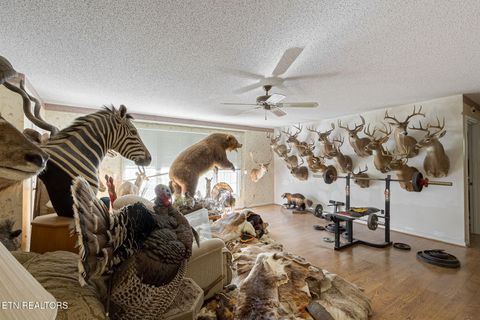 Tiny photo for 12515 Yarnell Rd, Knoxville, TN 37932 (MLS # 1319469)