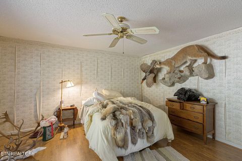 Tiny photo for 12515 Yarnell Rd, Knoxville, TN 37932 (MLS # 1319469)