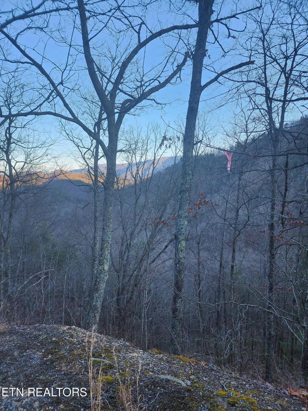 Photo of Overholt Trl Lot 2B, Sevierville, TN 37862 (MLS # 1289789)