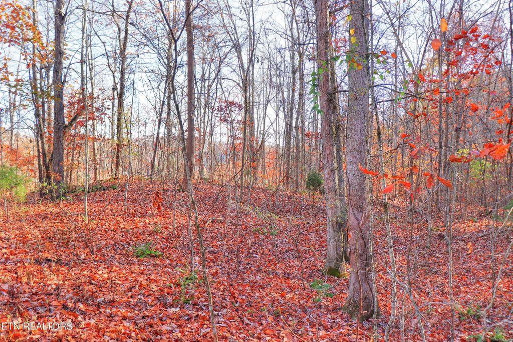 Photo of 190 Hickory Way, LaFollette, TN 37766 (MLS # 1324407)