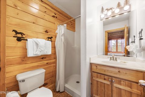 Tiny photo for 2818 Seth Rd, Pigeon Forge, TN 37863 (MLS # 1339412)
