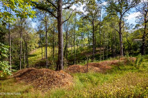 Tiny photo for 116 Overlook Drive, Kingston, TN 37763 (MLS # 1319461)